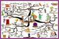 An Interpretation of Shakespeare's Comic Tools