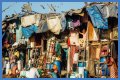 Crowded Cities and Rise in Diseases