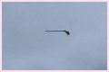 Disturbing video shows floating broom in the middle of the air and the internet is losing its collective mind