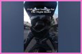 Night Rider Arrested, What Happened To Night Rider?