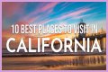 Top 16 Most Amazing Locations To Visit In San Diego, California: Best Places To Explore - SarkariResult