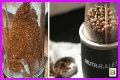 Where Can You Grind Coffee Beans?