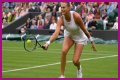 Wimbledon 2021: Aryna Sabalenka vs Karolina Pliskova Preview, Head to Head and Prediction