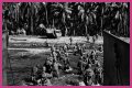 WWII's Most Daring Raids - Smithsonian Channel